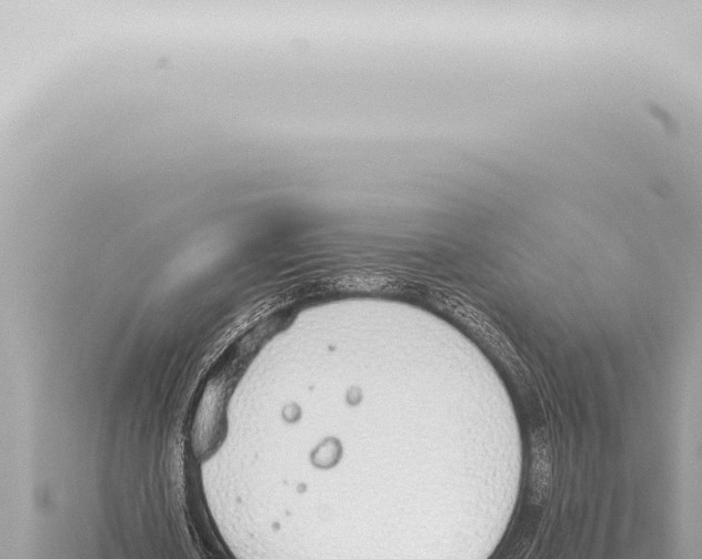 X0000115420626200912011246