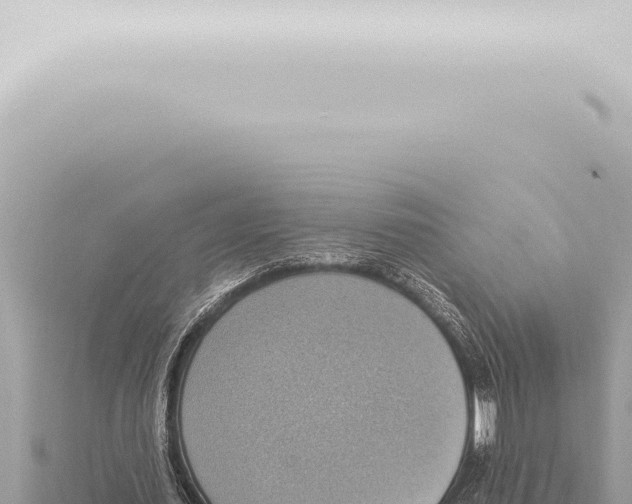 X0000115420627200912011246