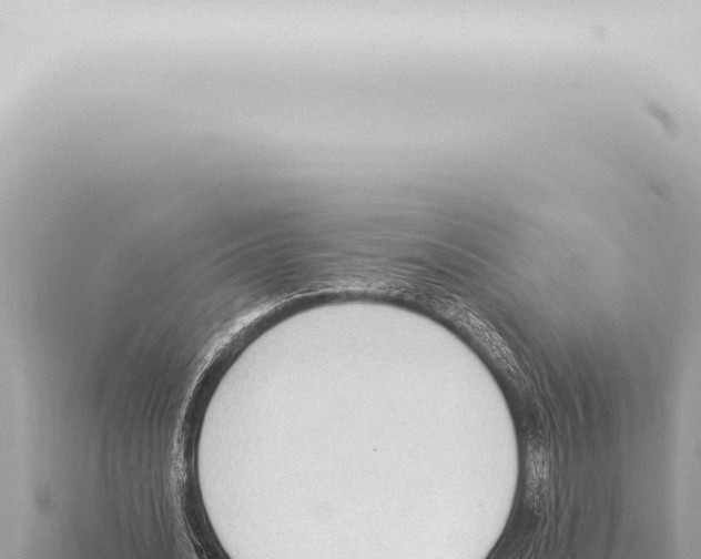 X0000115420628200912011246