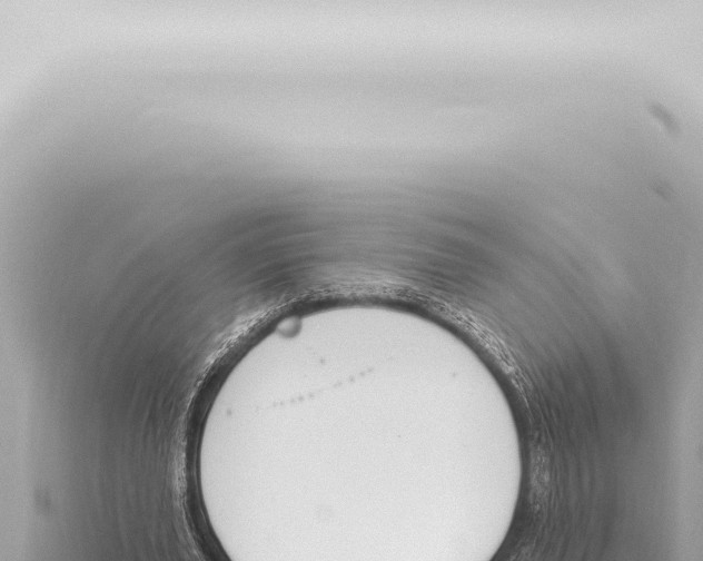 X0000115420629200912011246