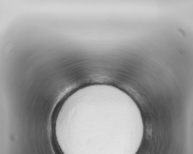 X0000115420630200912011246