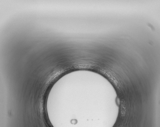 X0000115420631200912011246