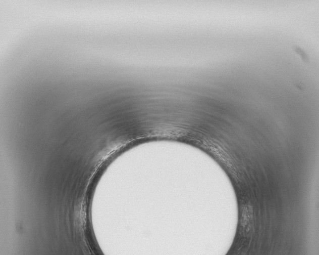 X0000115420632200912011246