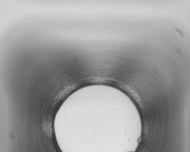 X0000115420633200912011246