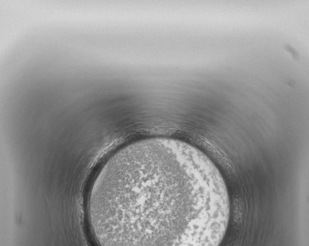 X0000115420634200912011247