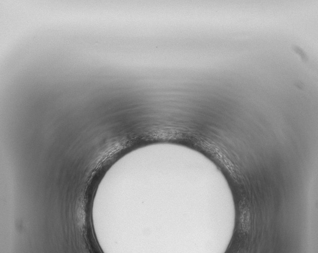 X0000115420635200912011247