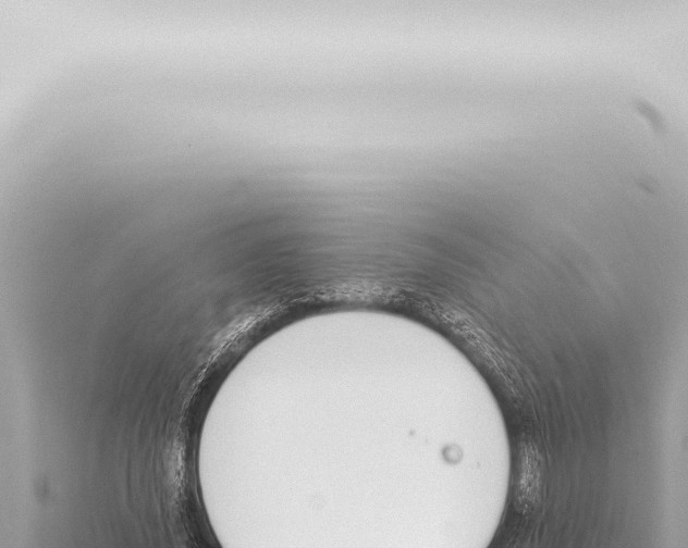 X0000115420636200912011247