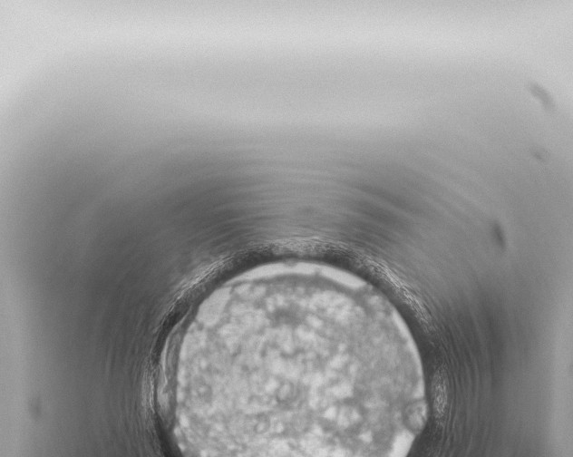 X0000115420637200912011247