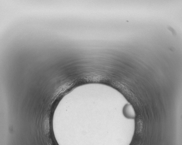 X0000115420638200912011247