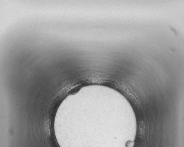 X0000115420639200912011247