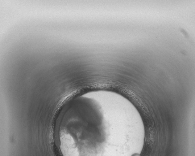 X0000115420640200912011247