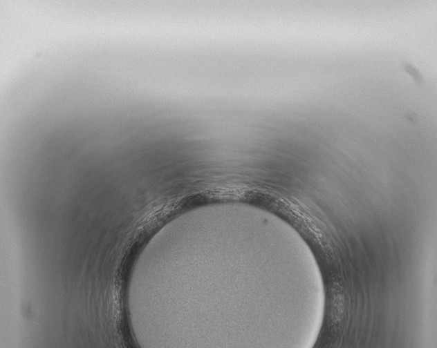 X0000115420641200912011247