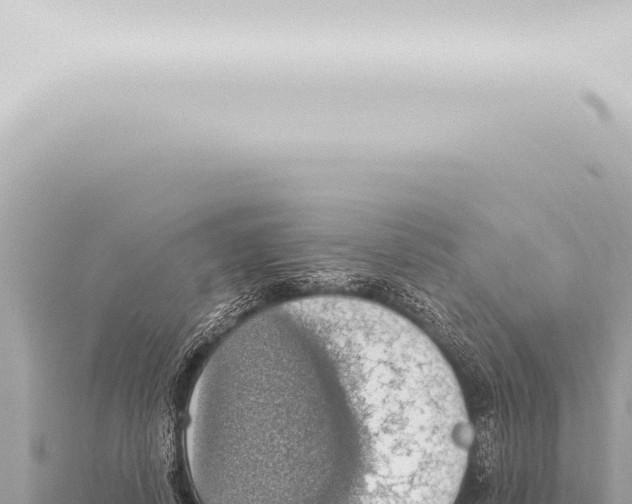 X0000115420642200912011247