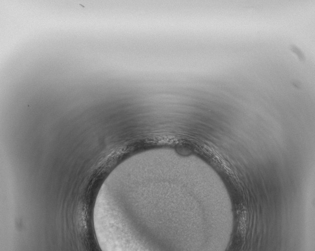 X0000115420643200912011247