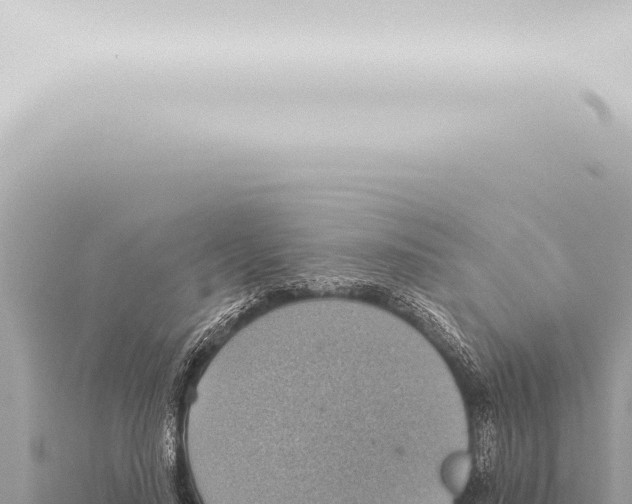 X0000115420644200912011247