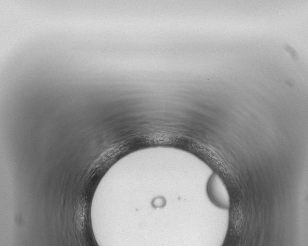 X0000115420645200912011247