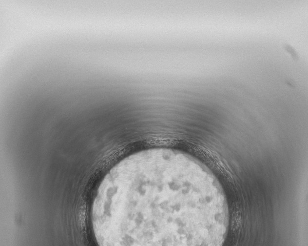 X0000115420647200912011247