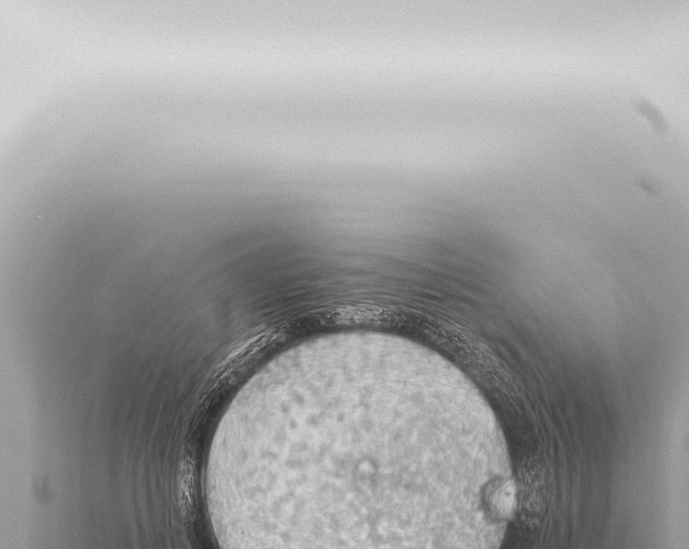 X0000115420648200912011247