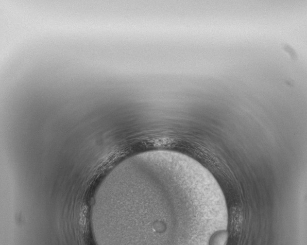 X0000115420650200912011247