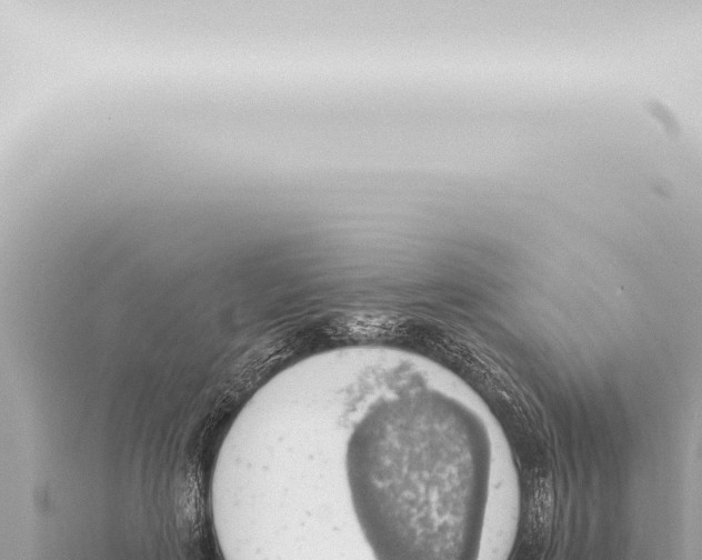 X0000115420651200912011247