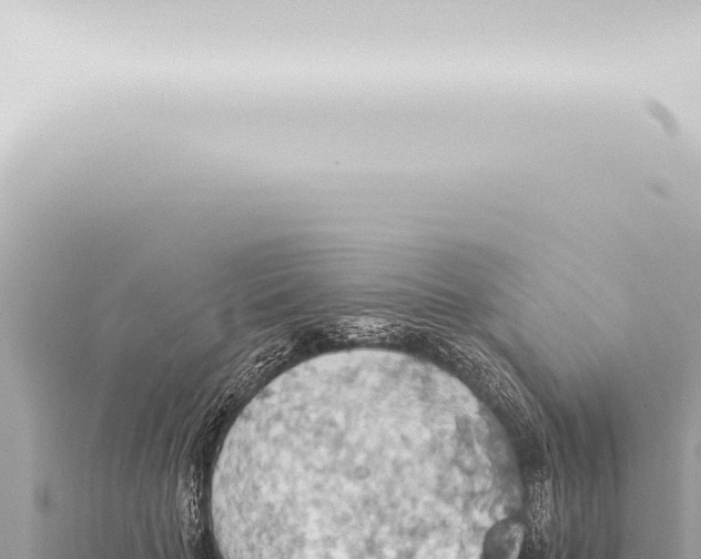 X0000115420653200912011247