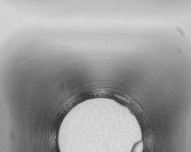 X0000115420660200912011247