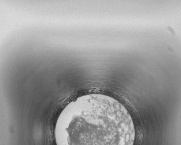 X0000115420661200912011247