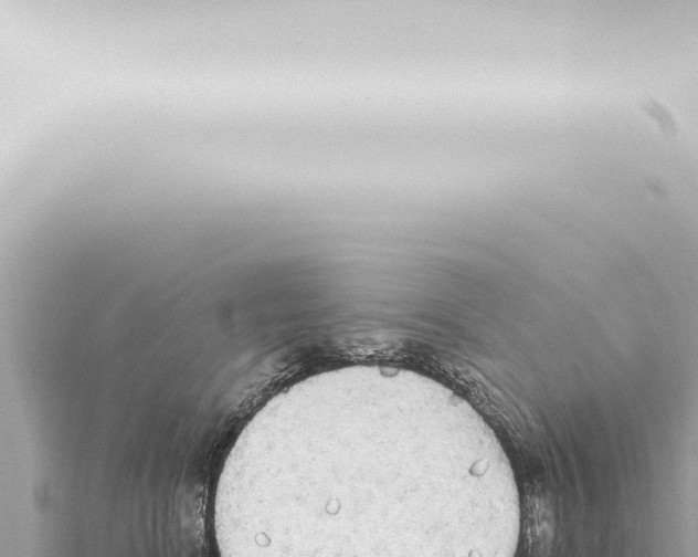 X0000115420664200912011247