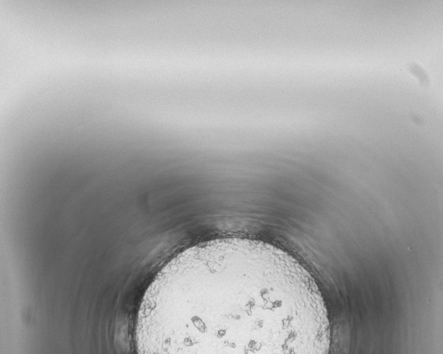 X0000115420671200912011247