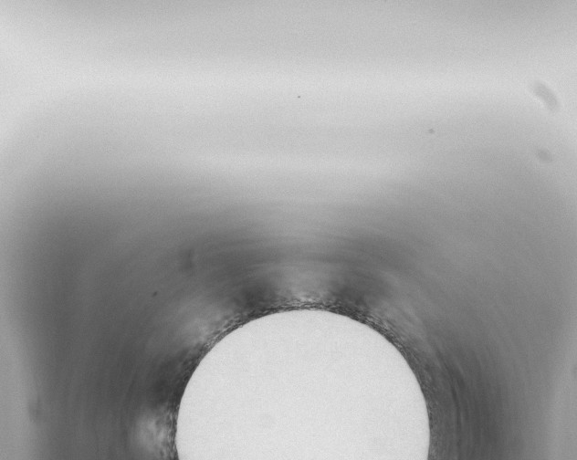 X0000115420672200912011247