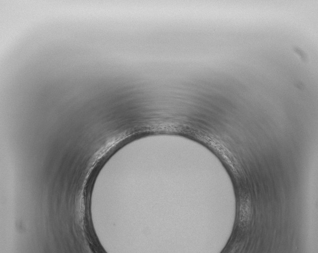 X0000115420674200912011246