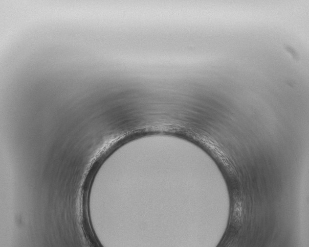 X0000115420678200912011246