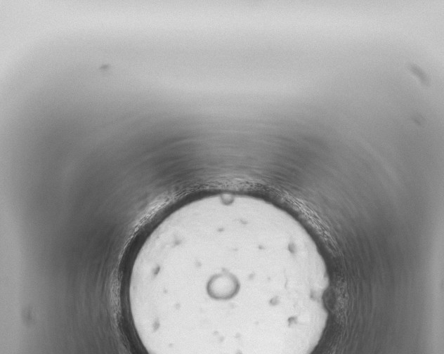 X0000115420679200912011246