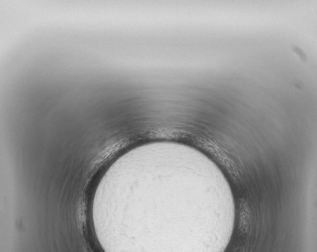 X0000115420683200912011246