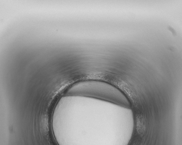 X0000115420684200912011246