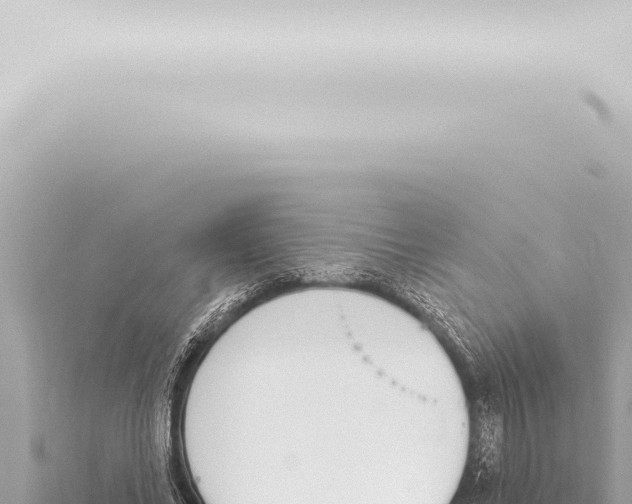 X0000115420686200912011246