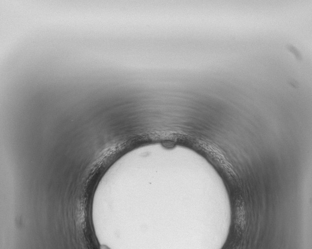 X0000115420687200912011246