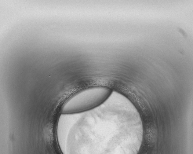 X0000115420688200912011246