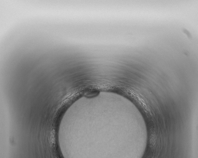 X0000115420689200912011246