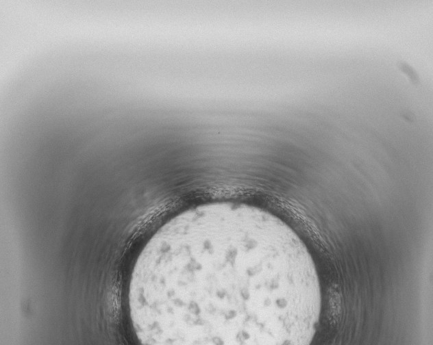 X0000115420691200912011246