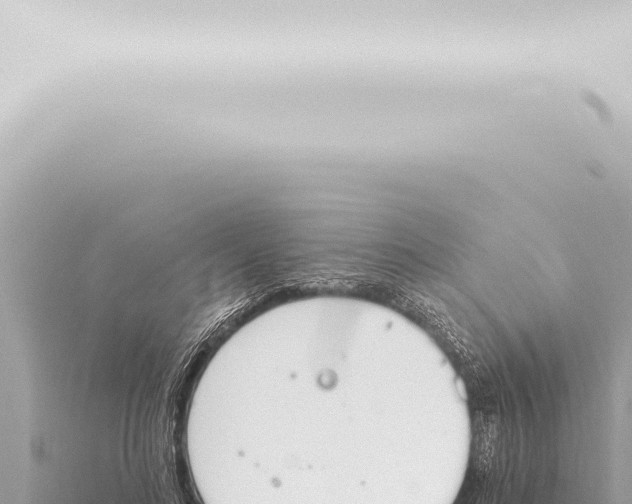 X0000115420692200912011246