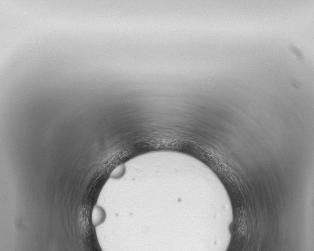 X0000115420695200912011246