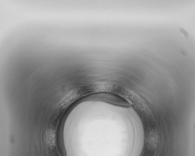 X0000115420696200912011246