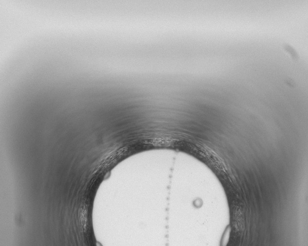 X0000115420697200912011246