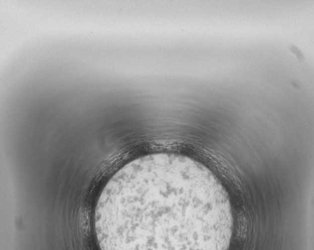 X0000115420699200912011246