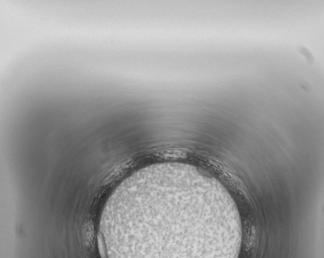 X0000115420704200912011246