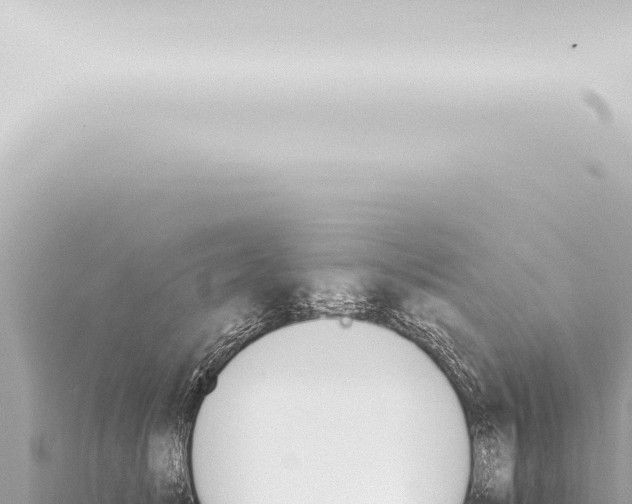 X0000115420705200912011246