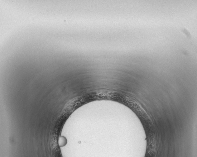 X0000115420706200912011246