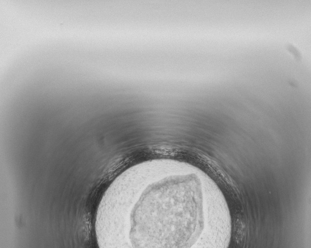 X0000115420707200912011246