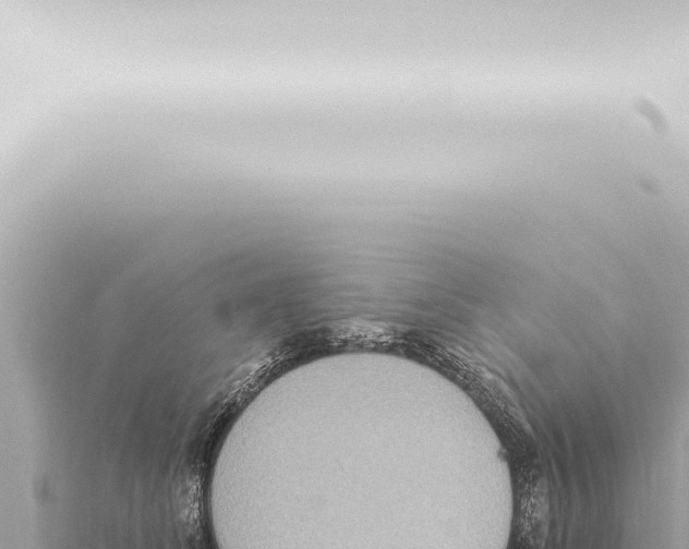 X0000115420708200912011246